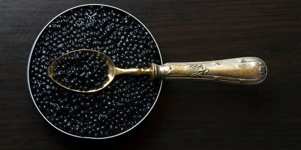 KALUGA BLACK CAVIAR 1lb